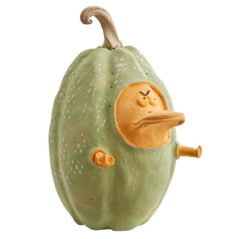 Duckbill Fruit (Pear Melon)