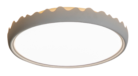 Ceiling Light