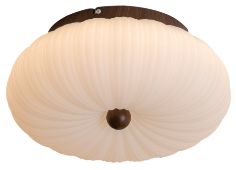 Ceiling Light