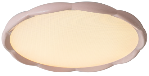Ceiling Light