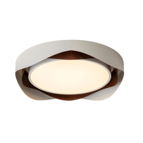 Ceiling Light