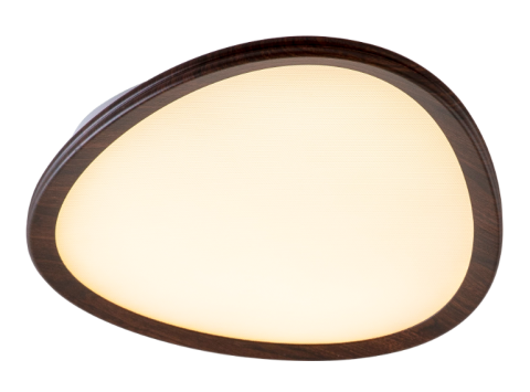 Ceiling Light
