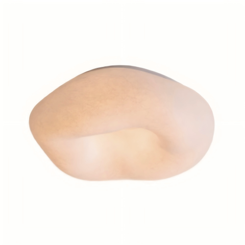 Ceiling Light