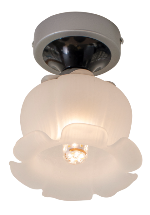 Ceiling Light