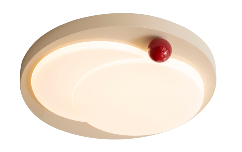 Ceiling Light