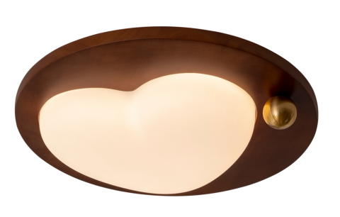 Ceiling Light