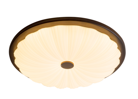 Ceiling Light