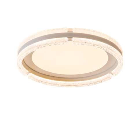 Ceiling Light