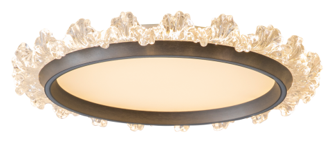 Ceiling Light