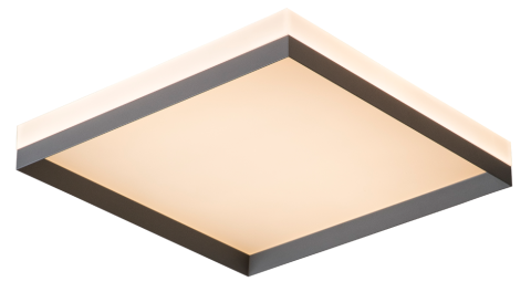 Ceiling Light