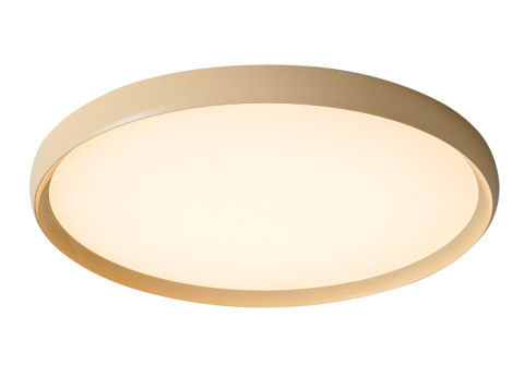 Ceiling Light