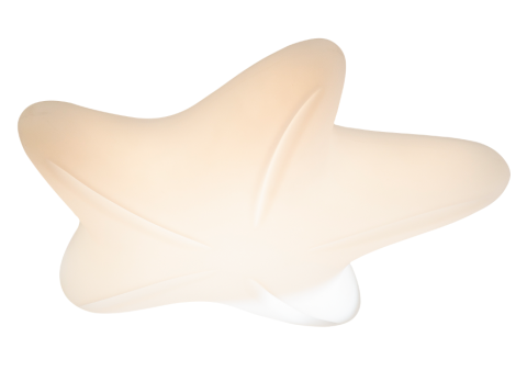 Ceiling Light