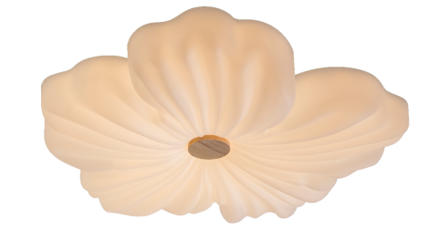 Ceiling Light