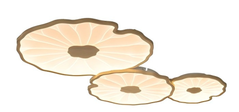 Ceiling Light