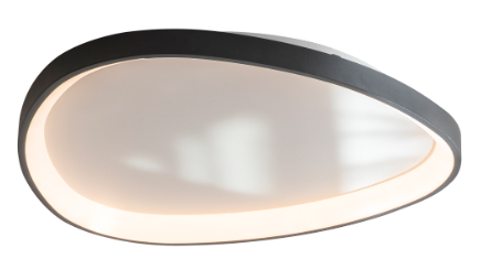 Ceiling Light