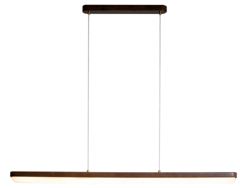 Pendant Light