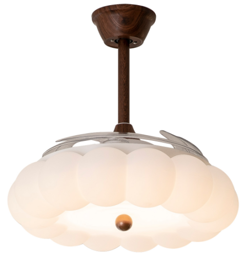 Ceiling Fan Light
