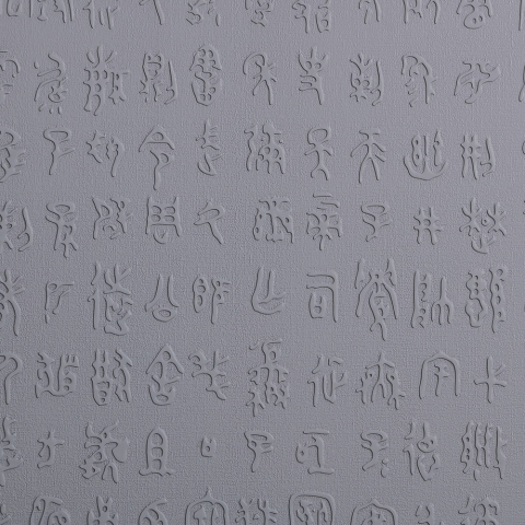 Embossed Panel