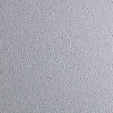 Embossed Panel