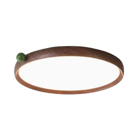 Ceiling Light