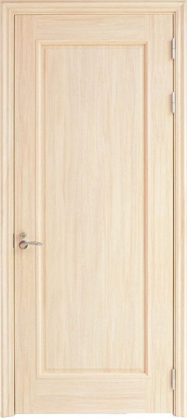 Interior Single Door