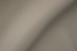 真皮