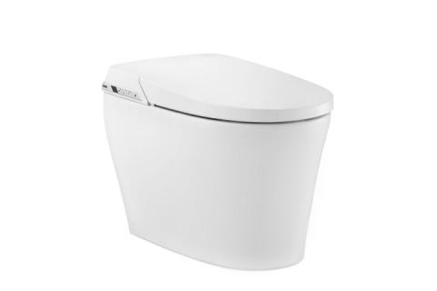 Smart Toilet