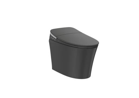 Smart Toilet