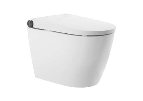 Smart Toilet