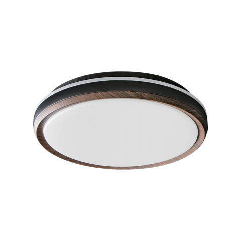 Ceiling Light