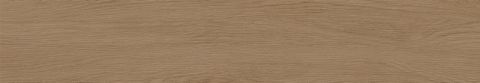 London Plane - Medium Mocha