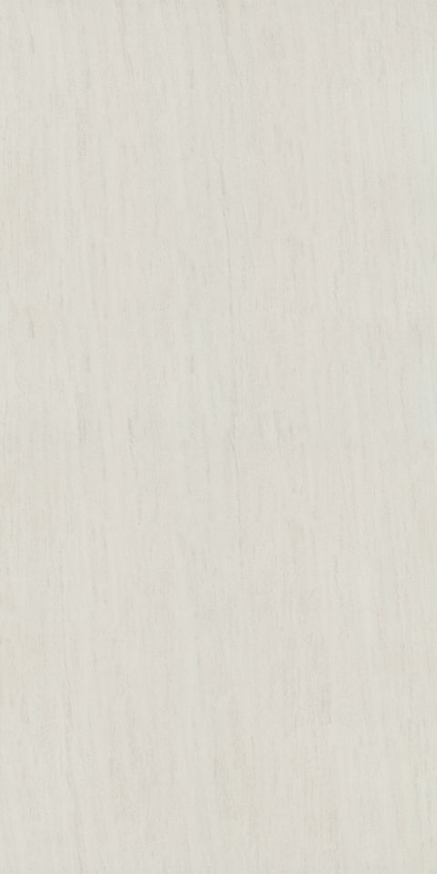 French Fossil Wood