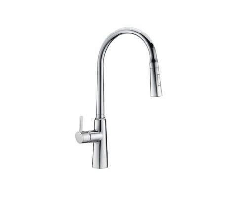 Kitchen Faucet