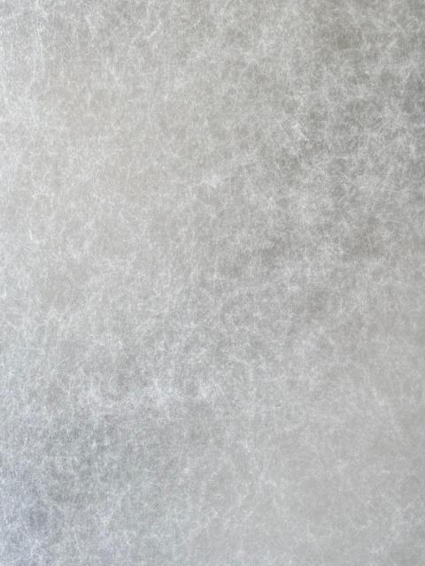 Amber Resin Panel