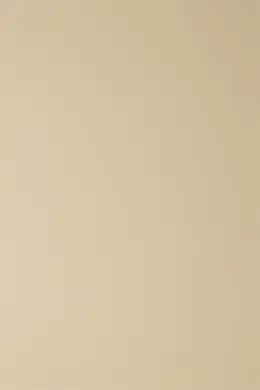Solid Color Enamel Decorative Paint
