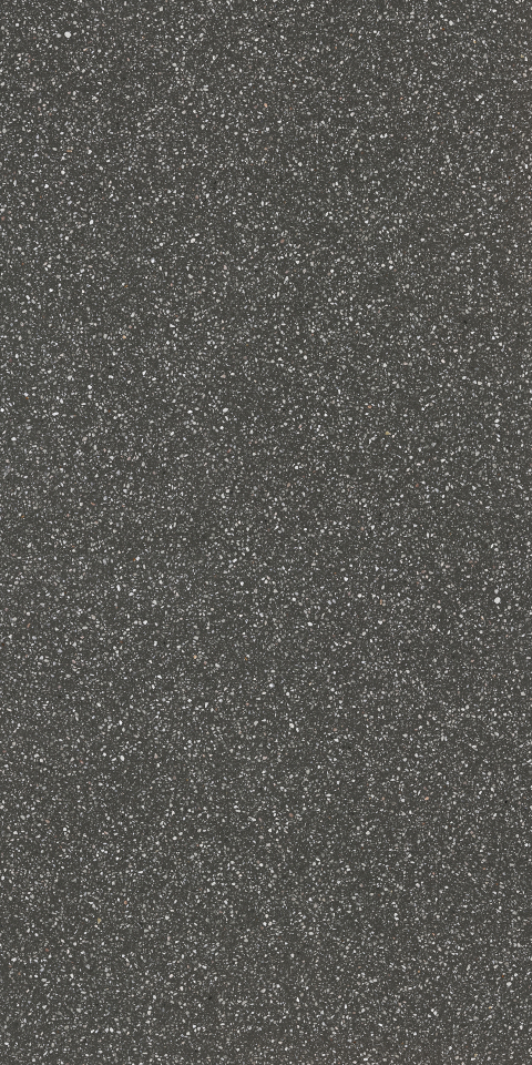 C301 Organic Terrazzo