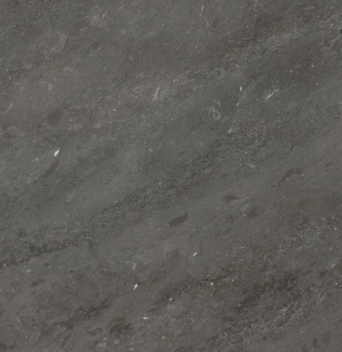 Verona Grey