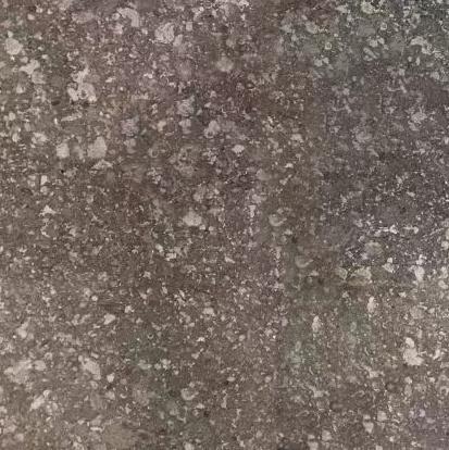 Fallen Leaf Gray