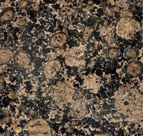 Golden Jellyfish Granite