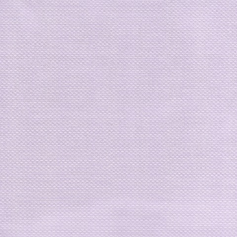 Sheer Curtain