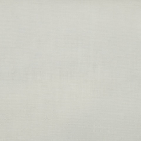 Window Screen