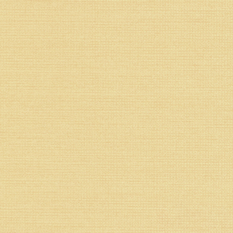 Non-woven Wallpaper