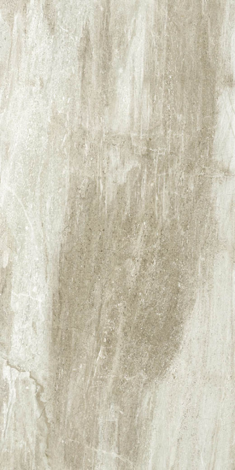 Fossil Wood