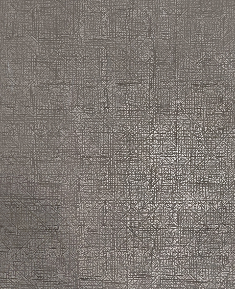 Liquid Metal Plate