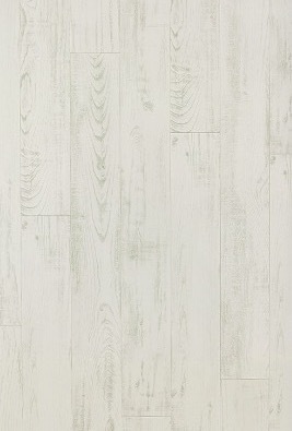 White Chestnut
