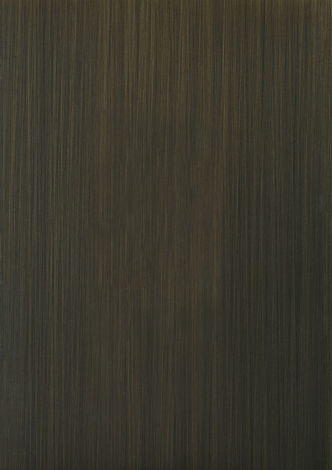 Verdigris Bronze Stainless Steel