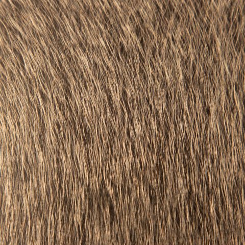 Coarse Brushed Hong Kong Gold Stainless Steel