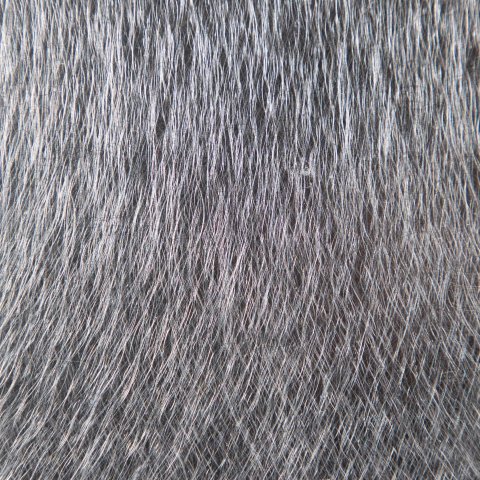 Coarse Vibration White Stainless Steel