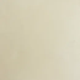 Texture Paint