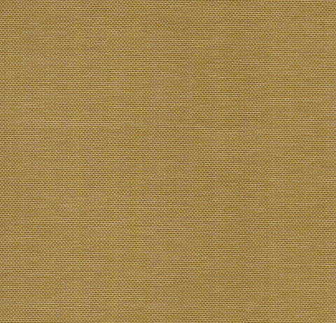 PE Wallpaper